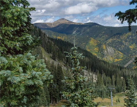 Protect Hunting and Fishing Opportunities in the Rio Grande Watershed
