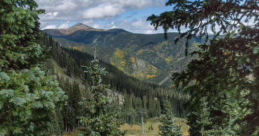 Protect Hunting and Fishing Opportunities in the Rio Grande Watershed