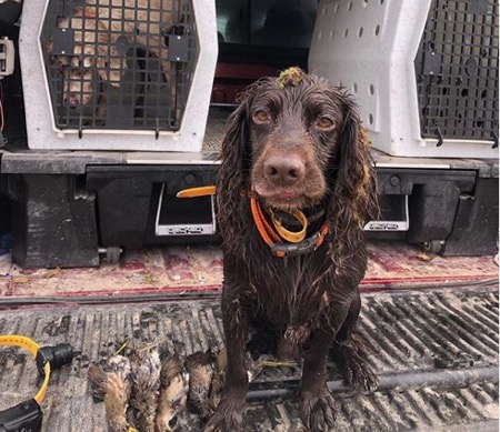Missouri Public Land Sora Rail Hunt