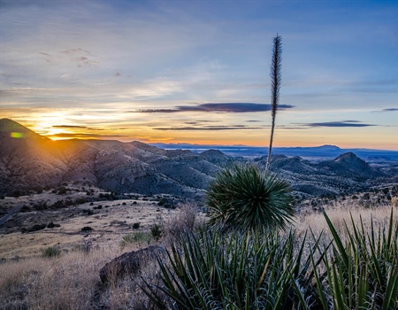 Cibola National Forest Planning Update