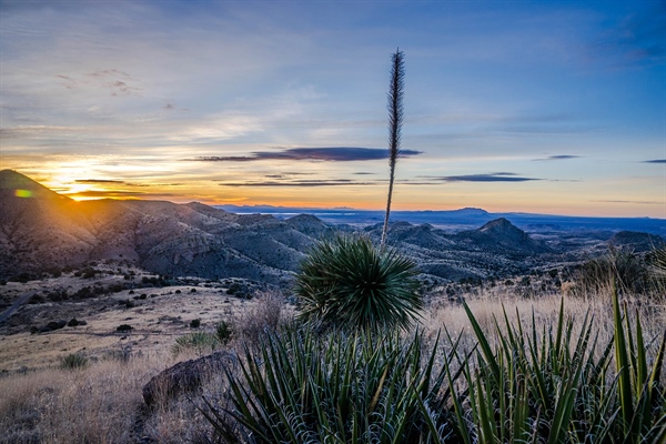 Cibola National Forest Planning Update