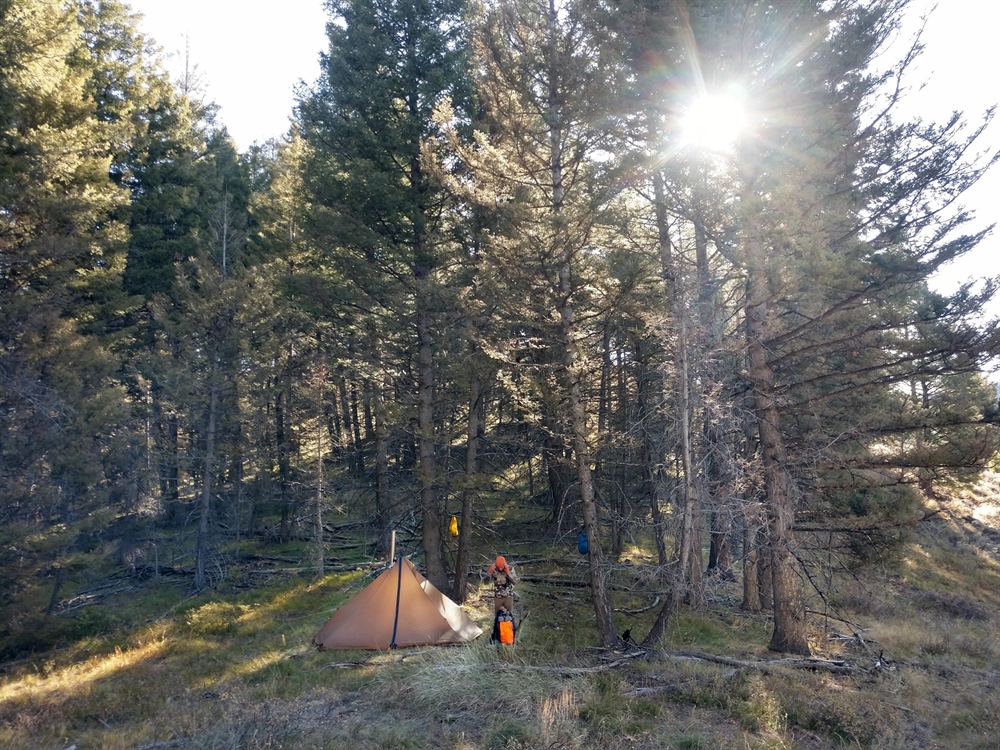 Fall 2019 Idaho Chapter News
