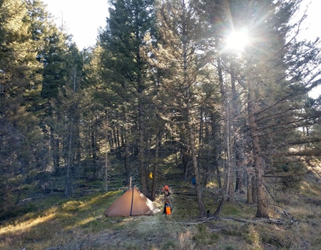 Fall 2019 Idaho Chapter News