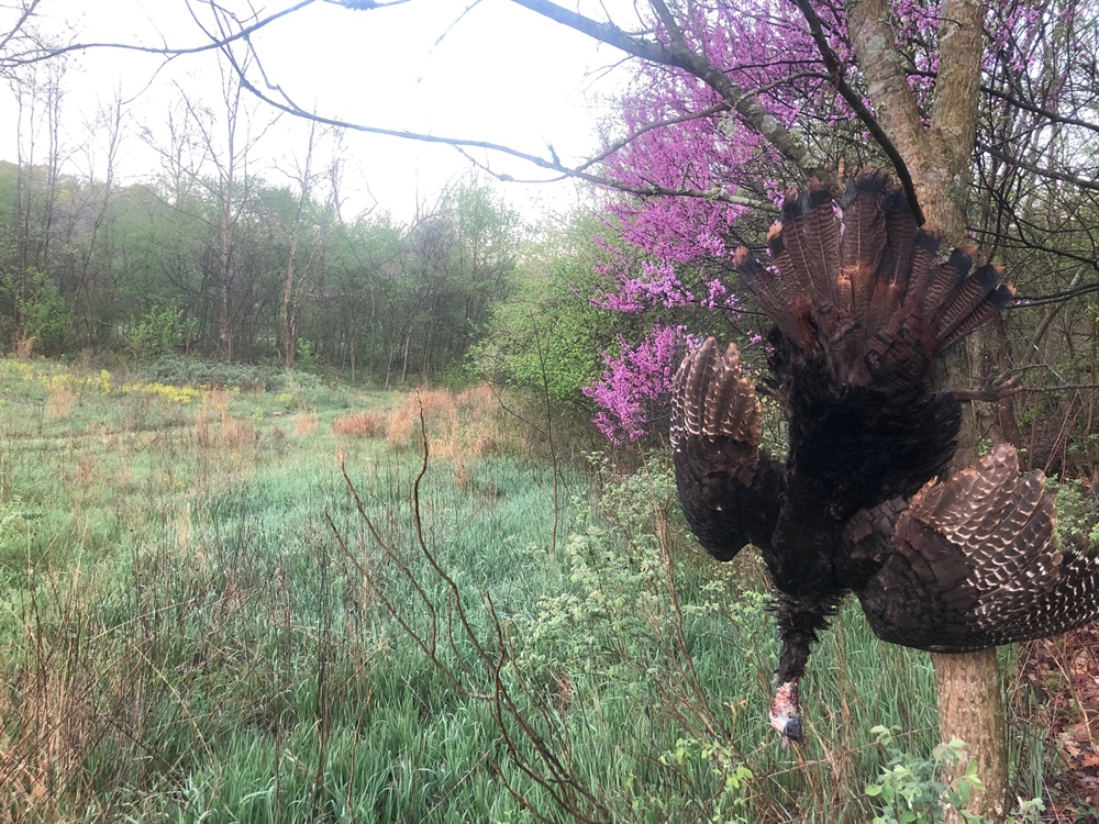 What Public Lands Month Means To Me