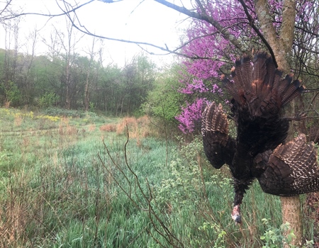 What Public Lands Month Means To Me