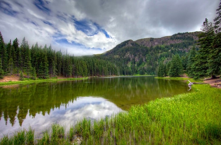 Uphold Hunting and Fishing Opportunities in the Carson and Santa Fe National Forests