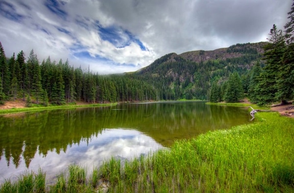 Uphold Hunting and Fishing Opportunities in the Carson and Santa Fe National Forests