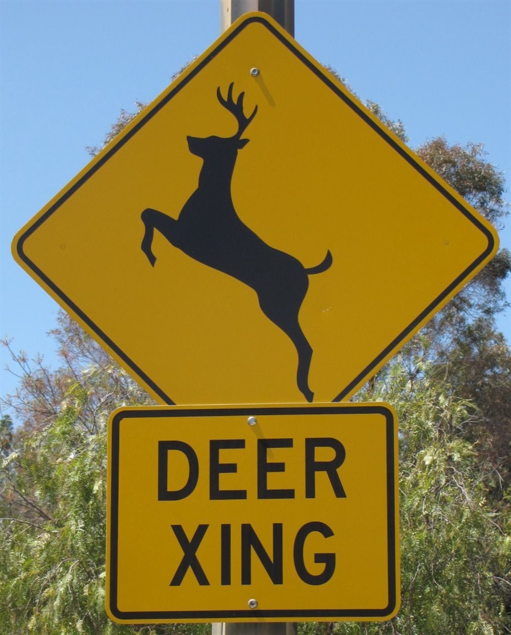 Idaho BHA speaks up for wildlife in letter to Idaho Transportation Department