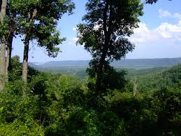 Forest Legacy Program to Add 1,200 Acres to Ohio’s Shawnee State Forest