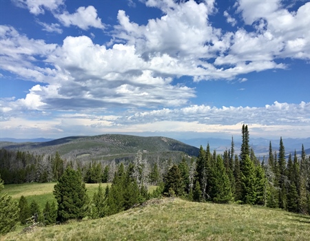 SPEAK UP FOR BLM PUBLIC LANDS NEAR MISSOULA