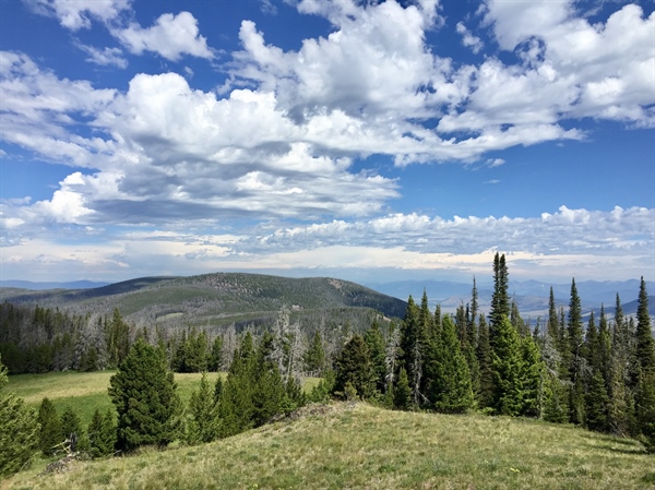 SPEAK UP FOR BLM PUBLIC LANDS NEAR MISSOULA