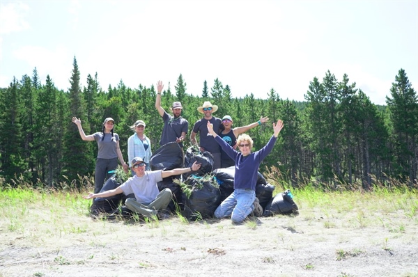 EVENT RECAP: Montana BHA Battles Invasive Weeds at Summit Trailhead