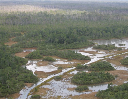 Proposed mining operation near Okefenokee NWR