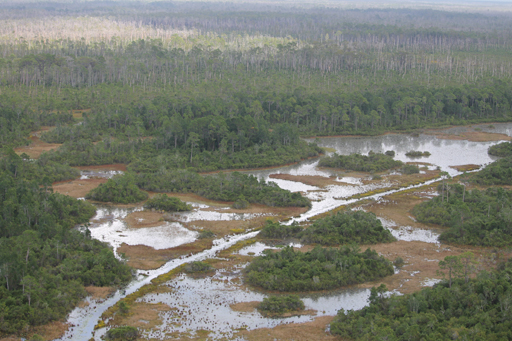 Proposed mining operation near Okefenokee NWR