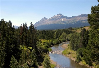 Conservation groups cry foul at new acting leadership for BLM