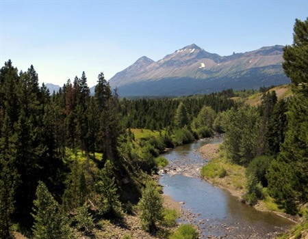 Conservation groups cry foul at new acting leadership for BLM