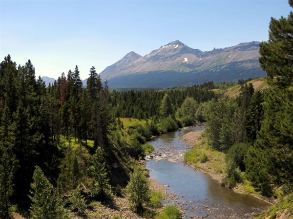 Conservation groups cry foul at new acting leadership for BLM