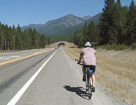 Conservation, sportsmen’s groups urging Senate for wildlife crossings in funding bill