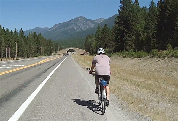 Conservation, sportsmen’s groups urging Senate for wildlife crossings in funding bill