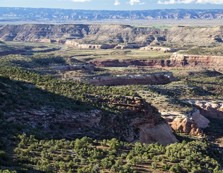Colorado Parks & Wildlife Votes to Expand Public Access to 500,000 Acres of State Trust Land