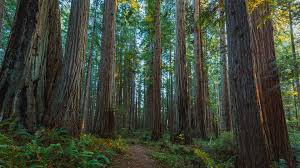 Chapter Supports Northwest California Bill H.R. 2250
