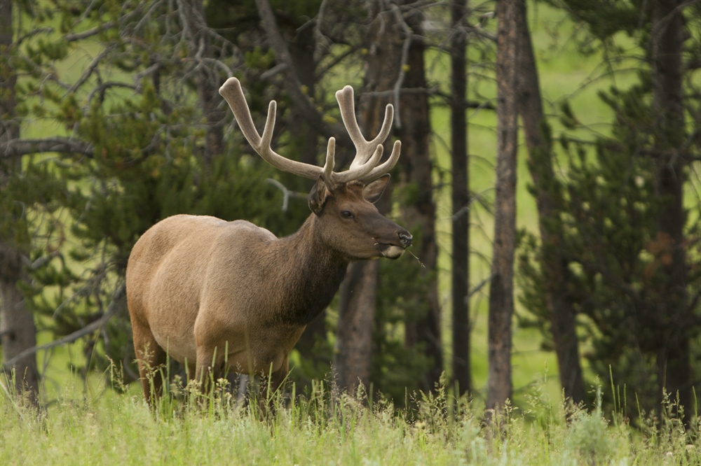 House Shows Support for Conservation in Funding Bill