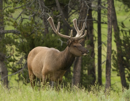 House Shows Support for Conservation in Funding Bill