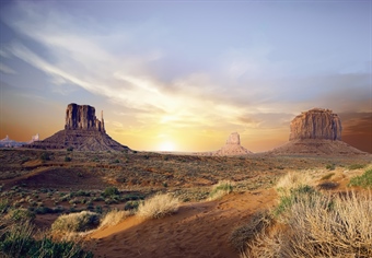Arizona BHA Policy Recap