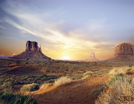Arizona BHA Policy Recap