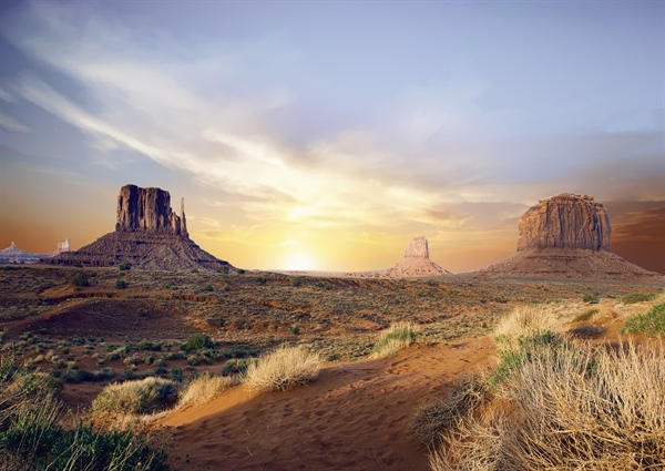 Arizona BHA Policy Recap