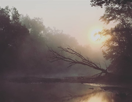 My Home Water, The River That Caught On Fire