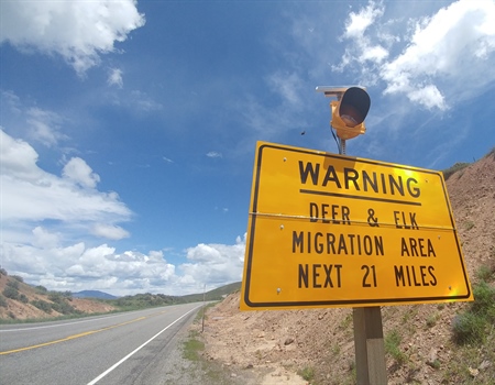 Idaho BHA encourages public land owners to comment on BLM plan for 780,000 acres