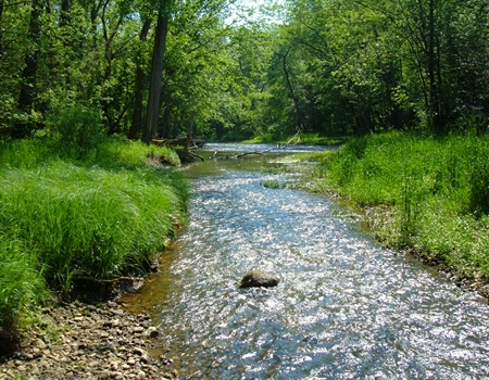 Darby Creek Watershed: Cause for Concern