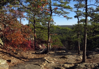 Oklahoma BHA Applauds Acquisition of 7,602 Acre San Bois Wildlife Management Area