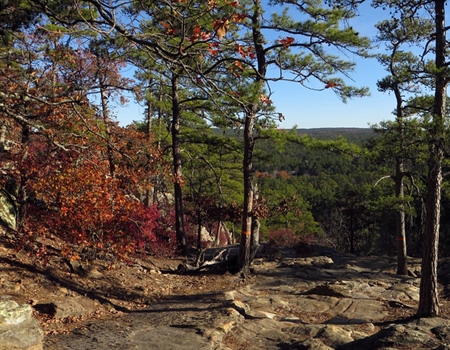 Oklahoma BHA Applauds Acquisition of 7,602 Acre San Bois Wildlife Management Area