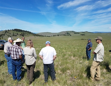 Montana BHA Monitors Spotted Dog WMA Grazing