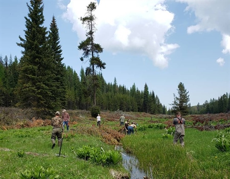 Idaho BHA volunteers enhance riparian habitat on Craig Mountain Wildlife Management Area