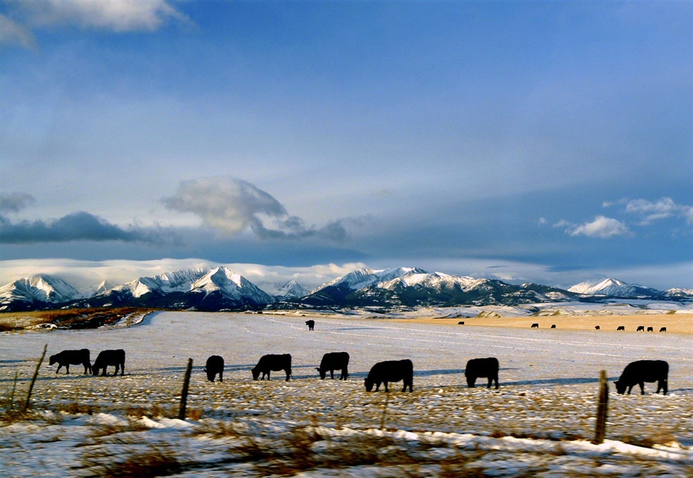 Sportsmen and Women Undertake Legal Action  Against Forest Service over Public Access  in Montana’s Crazy Mountains