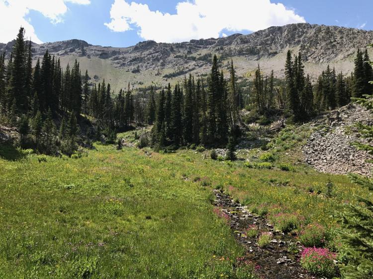 Groups sue over trail access in Crazy Mountains