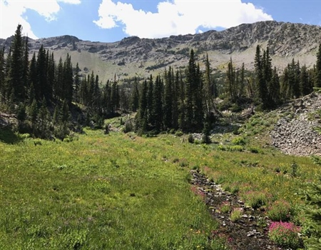 Groups sue over trail access in Crazy Mountains