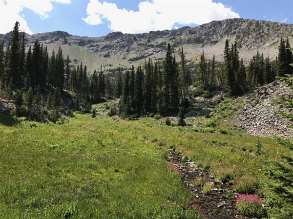 Groups sue over trail access in Crazy Mountains