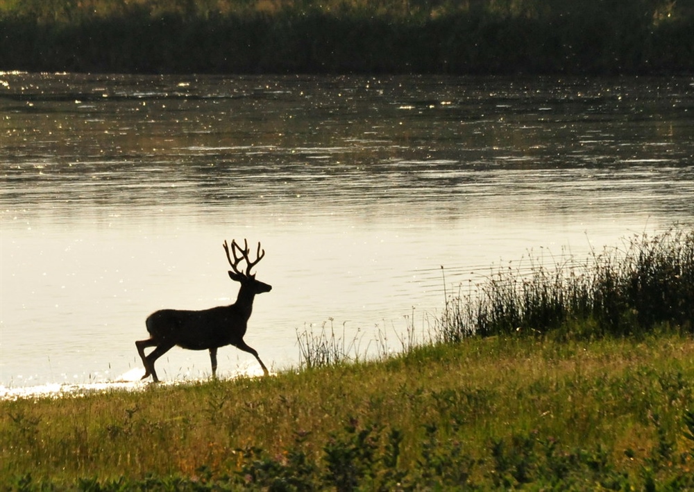 BHA Supports Expansion of Hunting and Fishing  on National Wildlife Refuges