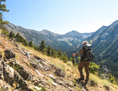 LETTER: MT BHA Custer Gallatin USFS Forest Plan Revision Comments