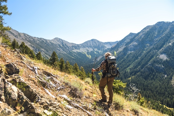 LETTER: MT BHA Custer Gallatin USFS Forest Plan Revision Comments