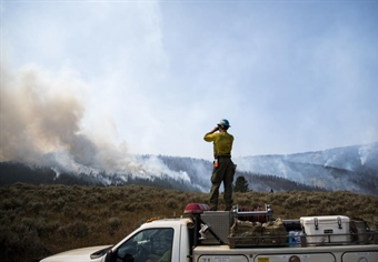 Montana governor forms panel to assess, plan for state’s forests