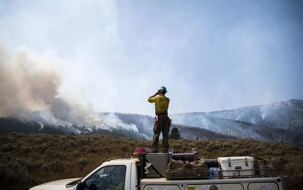 Montana governor forms panel to assess, plan for state’s forests