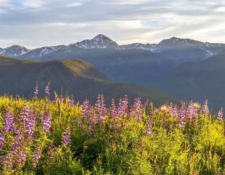 BLM plan opens public lands near Missoula to resource extraction