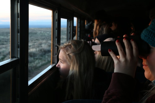 Idaho BHA supports Sage Grouse in Schools program with funds and volunteers