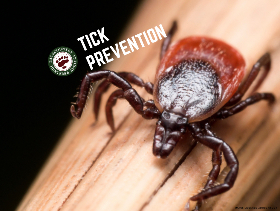 Simple Steps to Help Prevent Tick-borne Diseases