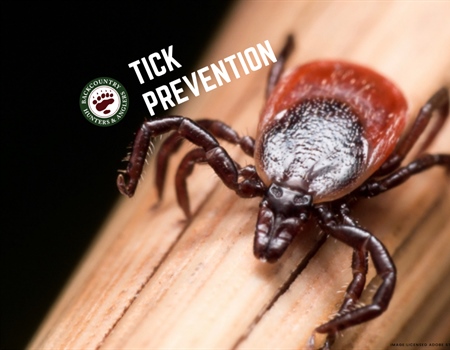 Simple Steps to Help Prevent Tick-borne Diseases